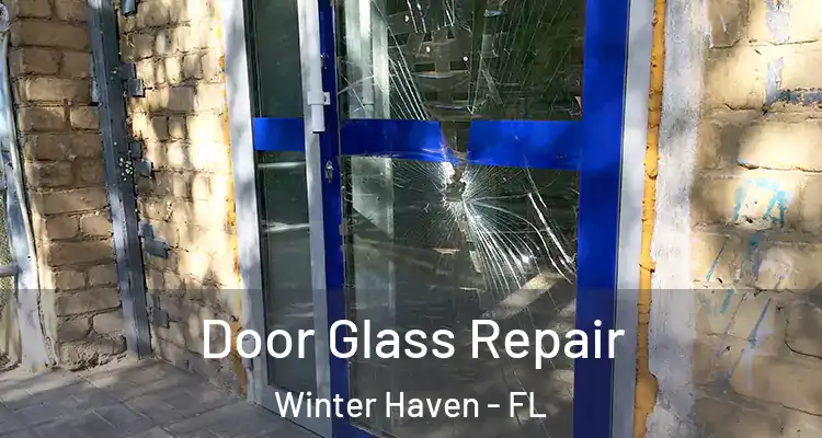  Door Glass Repair Winter Haven - FL