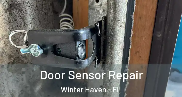 Door Sensor Repair Winter Haven - FL